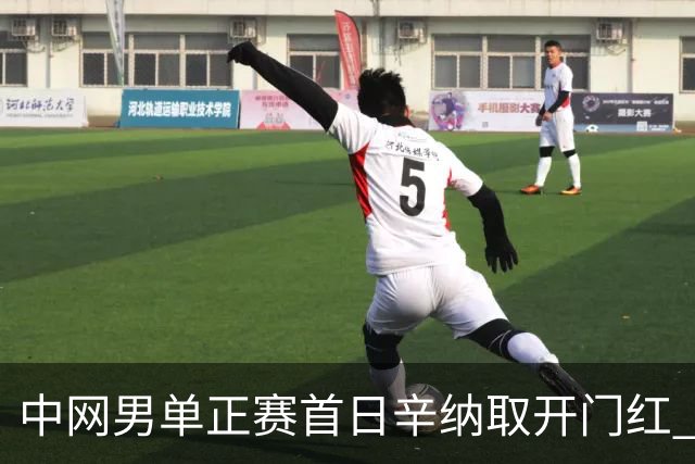 中网男单正赛首日辛纳取开门红 马纳里诺赢300胜