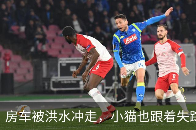 房车被洪水冲走，小猫也跟着失踪，8天后它突然回家了，全家人都哭了